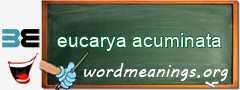 WordMeaning blackboard for eucarya acuminata